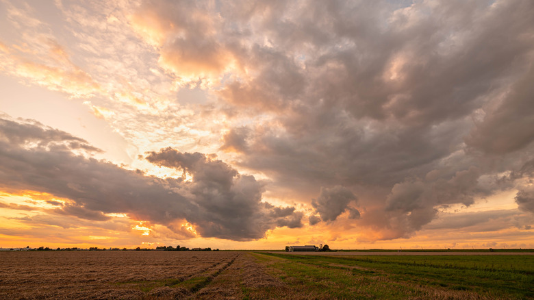 Open plains at sunset